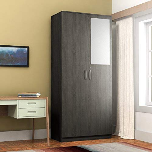 wardrobe with 2 doors