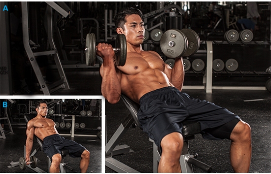 Incline Inner Biceps Curl