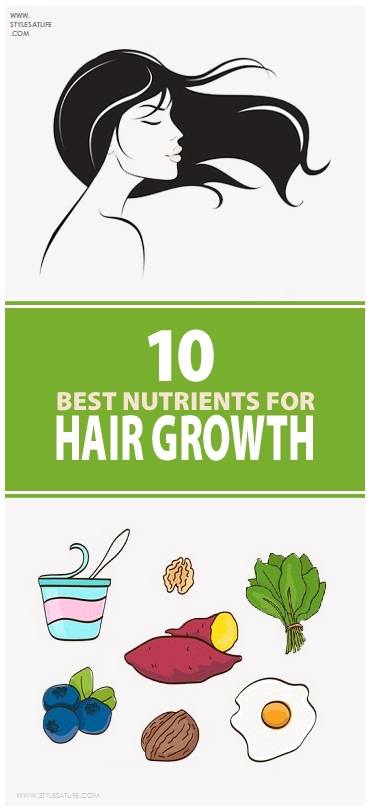 10 Best Foods With Nutrients For Hair Growth