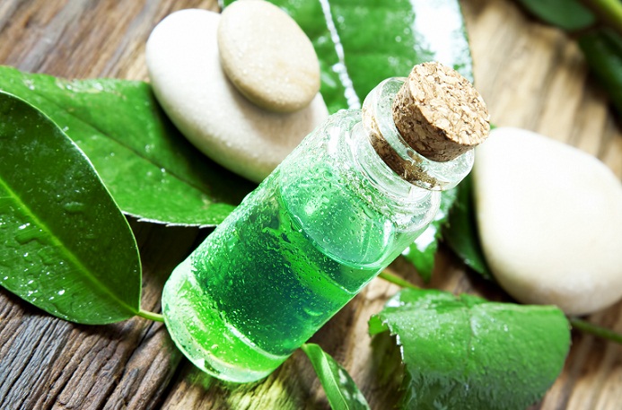 Tea Tree Oil for Dandruff