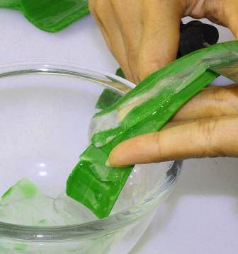 aloe vera face packs 2