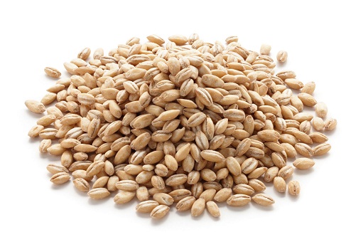 Barley