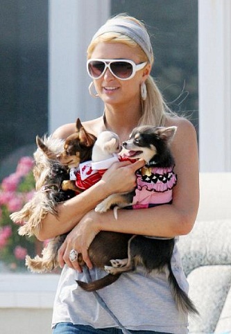 Paris Hilton without makeup7