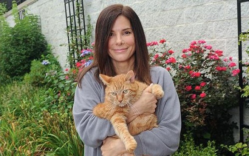 Sandra Bullock without Makeup