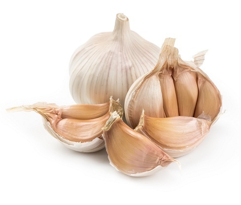 Garlic