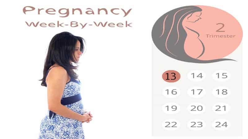 Pregnant 13 weeks symptoms at I'm 13