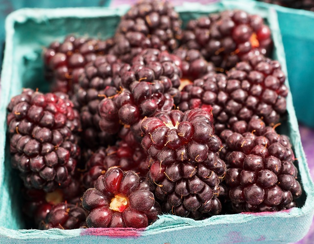 boysenberry benefits