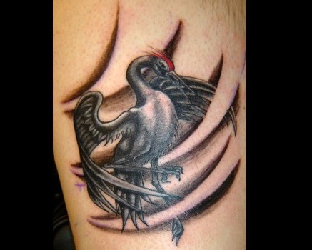 bird tattoo designs