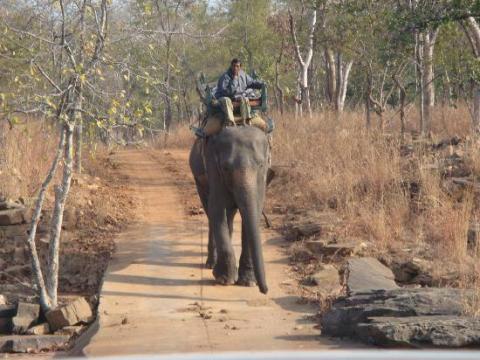 national parks in india2