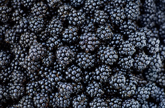 Best Fruits For Diabetics Type 2 Black berry