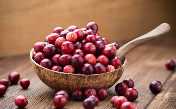 Which Fruit Is Good For Diabetes Patient Cranberry