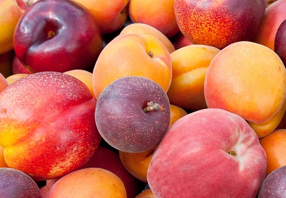 Peaches and Plums Fruits That Can Be Eaten By diabetic Patients 