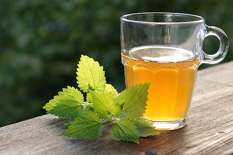 Nettle Tea For Damaged Hair