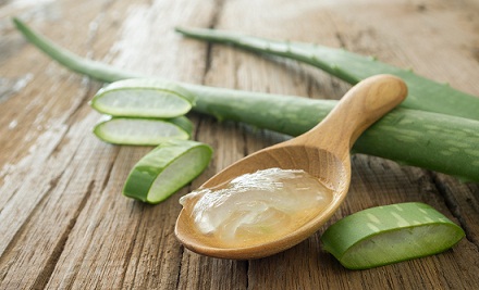 Aloe Vera Can Make Your Hair Long