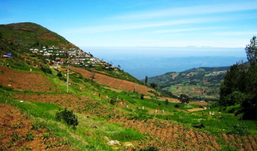 Doddabetta Peak