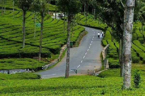 Best Honeymoon Places in Ooty