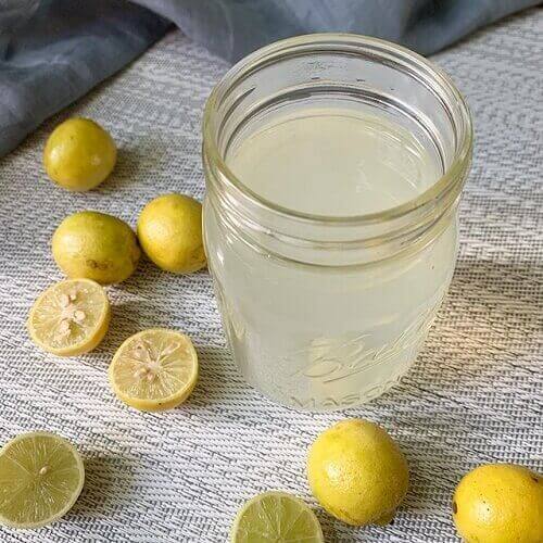 lemon juice pregnancy