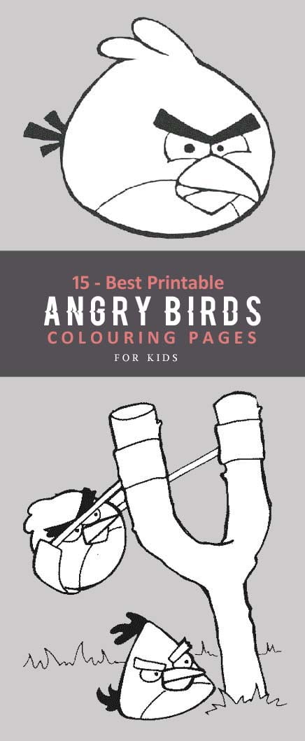 angry birds colouring pages