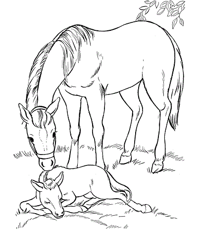 Farm Animal Coloring Pages