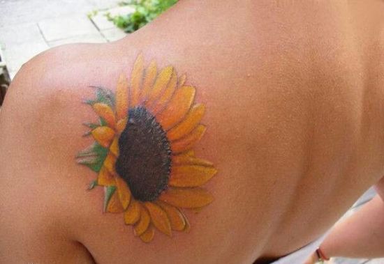 Petite sunflower