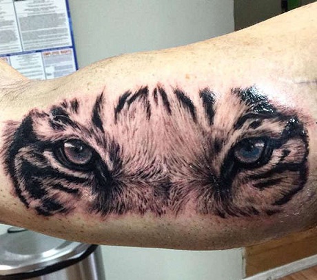 Realistic Tiger Eyes Tattoos