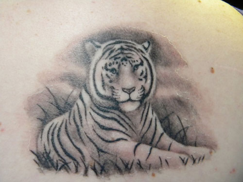 White Tiger Tattoo