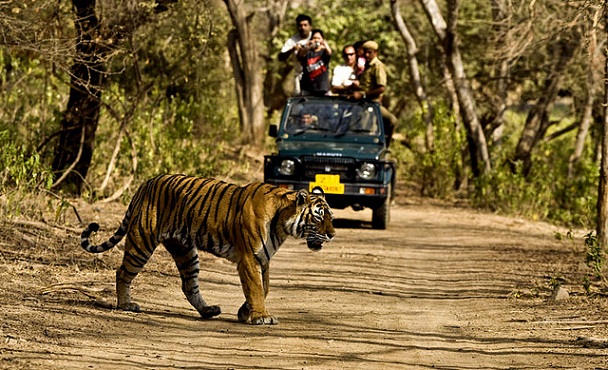 jim-corbett-national-park_uttarakhand-tourist-places