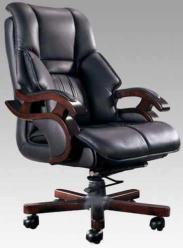 Cushioned Arm Computer Chair