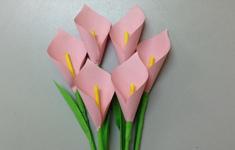 Paper Flower Craft