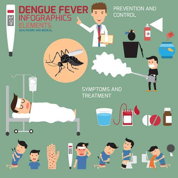 Home remedies for dengue