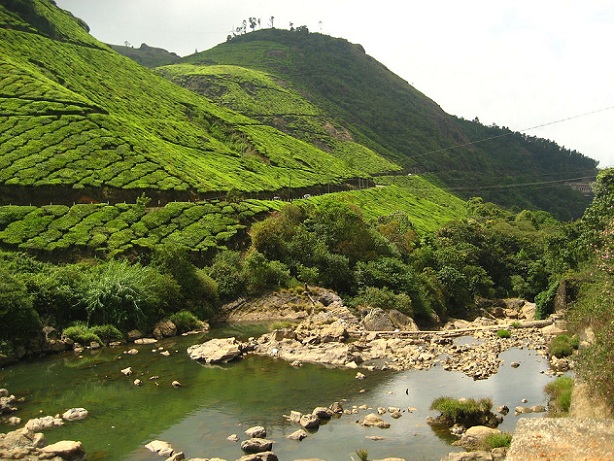 pothamedu_munnar-tourist-places