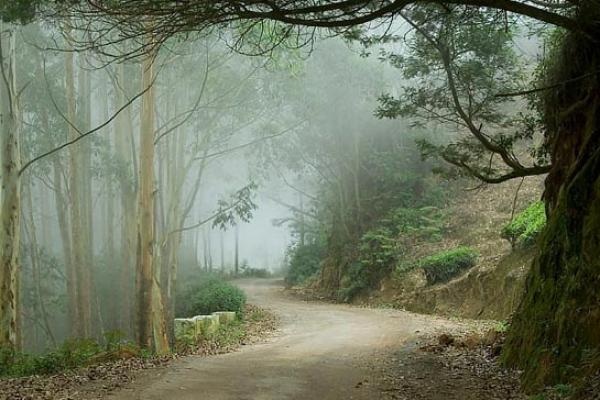 lock-heart-gap_munnar-tourist-places