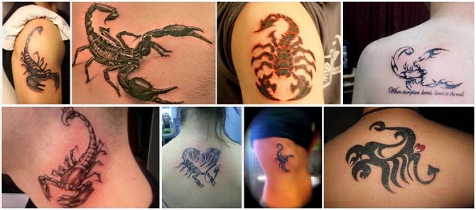 scorpion tattoo designs