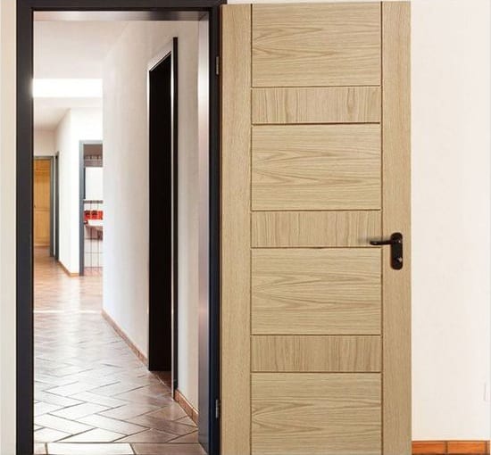 Flush Door Designs With Mica