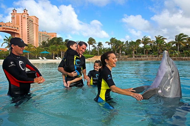 Dolphin-Bay_dubai-tourist-places