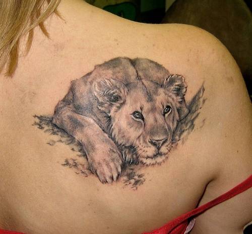 lion tattoos for girls