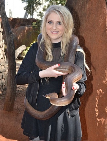 Meghan Trainor without makeup2