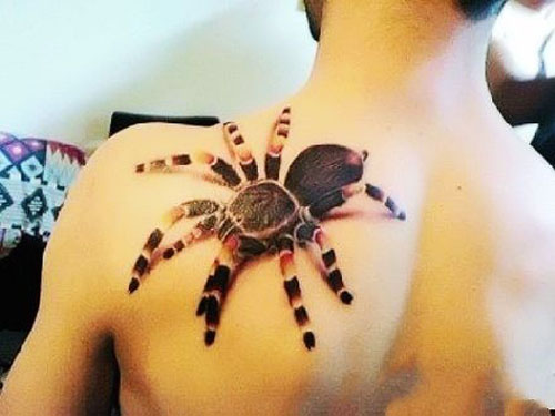 Realistic looking spider