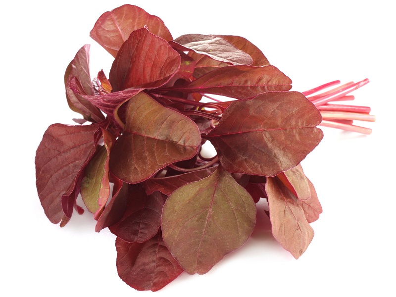 red spinach benefits