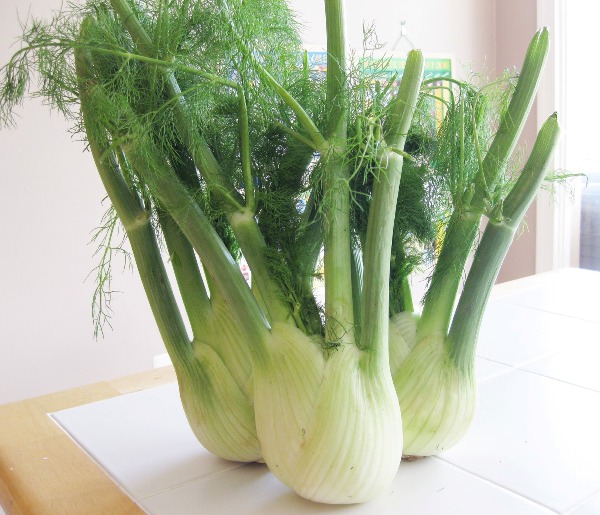 fennel benfits