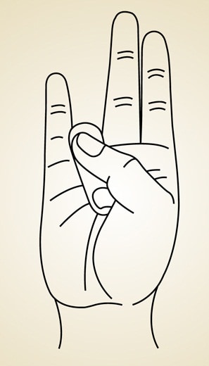 The Surya Mudra