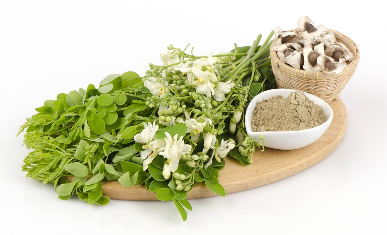 moringa powder uses