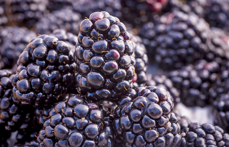 benefits of blackberries for skin, hair and health