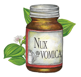 Nux Vomica (Homeopathic Medicine For Headaches)