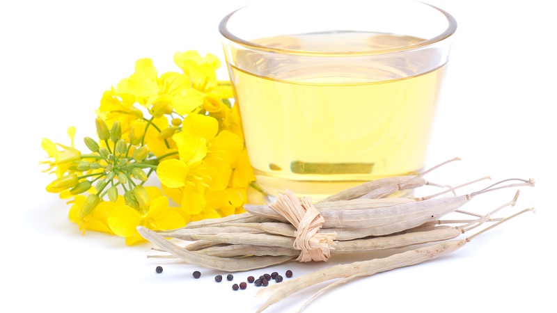 Canola Oil benefits