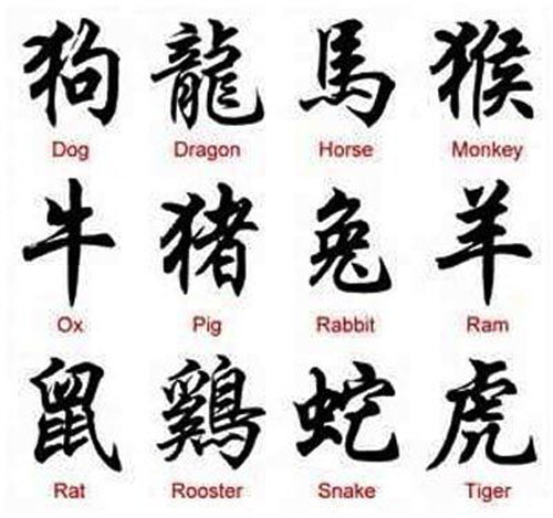 Chinese Animal Name Tattoos