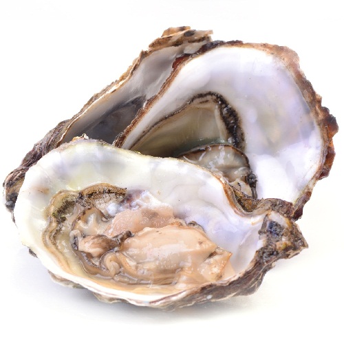 Zinc Rich Foods - Oysters