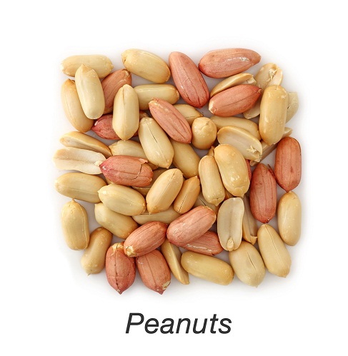 zinc in food items - Peanuts