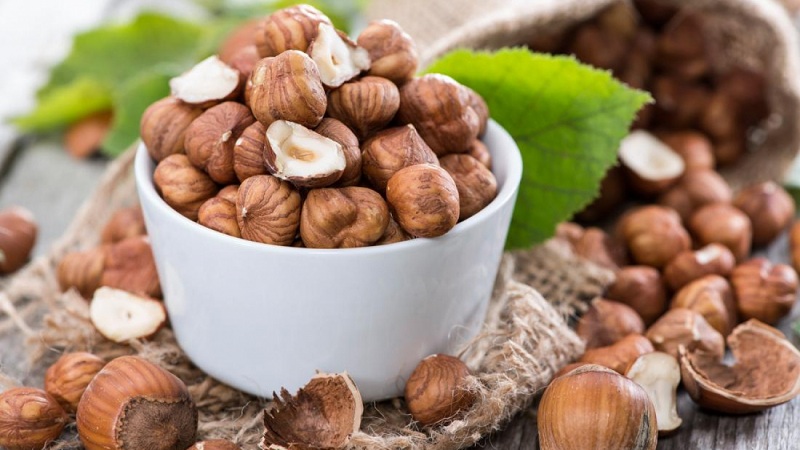 hazelnut benefits