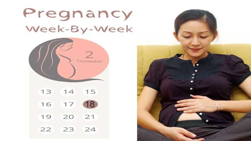 18 Weeks Pregnant Symptoms Developments And Precautions I Fashion Styles